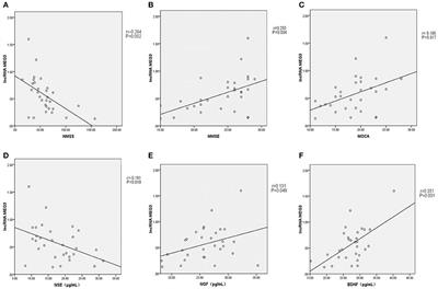 Association of the Plasma Long Non-coding RNA MEG3 With Parkinson's Disease